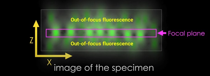 Out-of-focus fluorescence